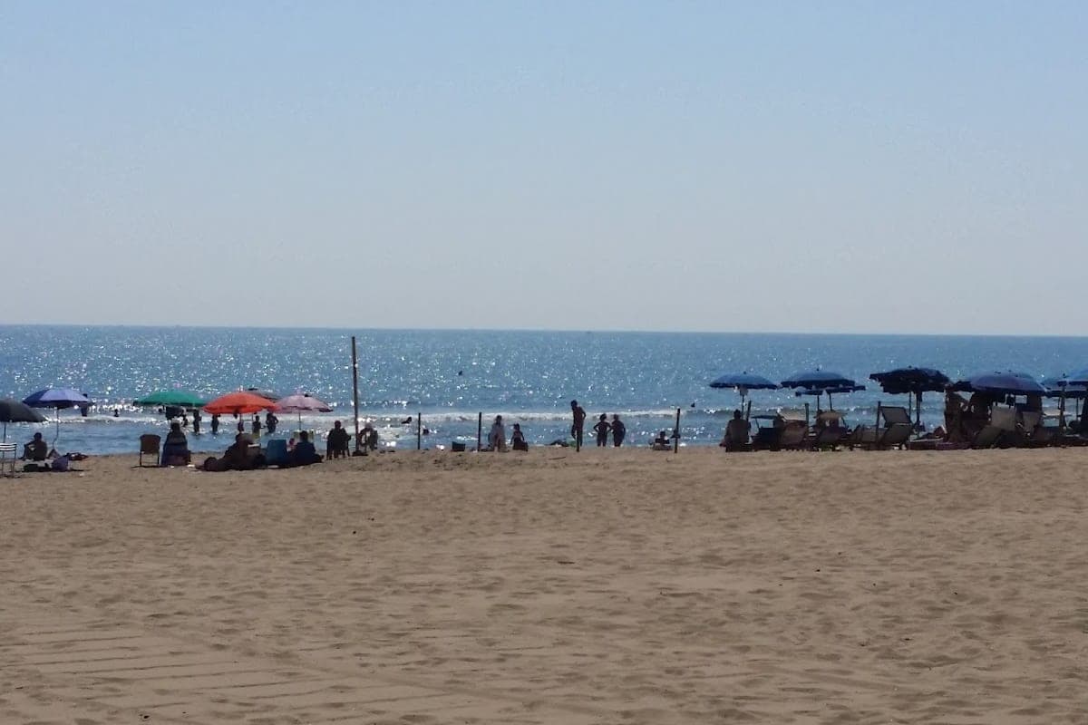 Spiaggia Libera n.2 (Dog Beach Comunale)
