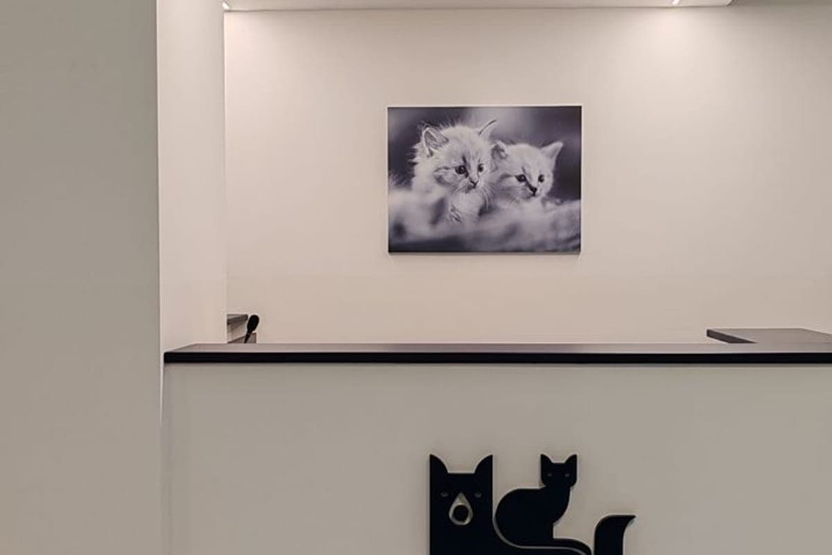 Clinica Veterinaria San Siro Cernobbio