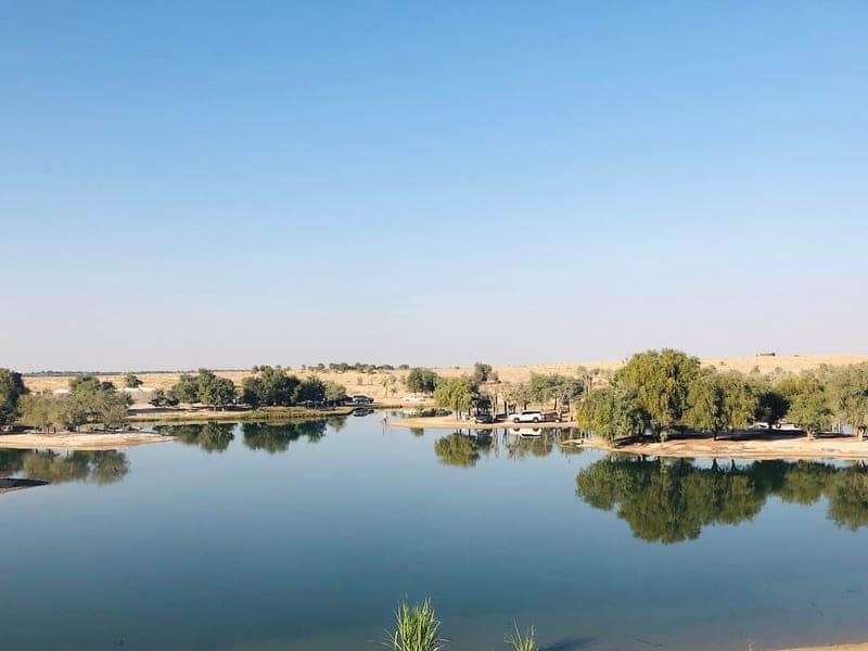 Al Qudra Lakes