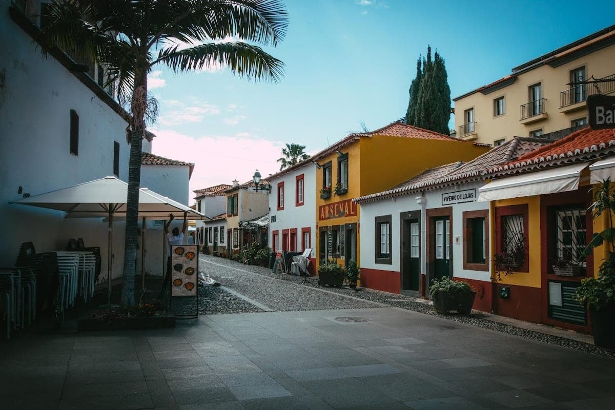 Zona Velha (Painted Doors of Rua de Santa Maria)