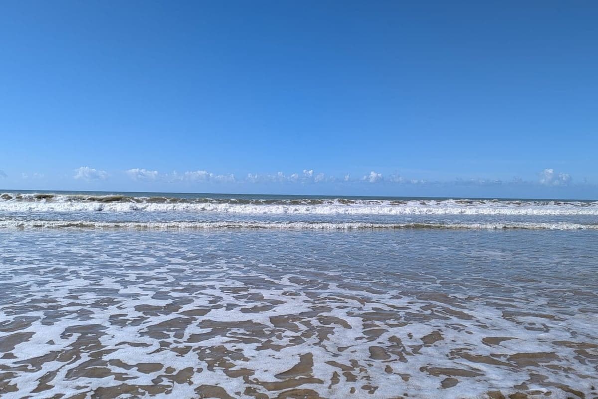 Forêt et dunes du Bois-Plage