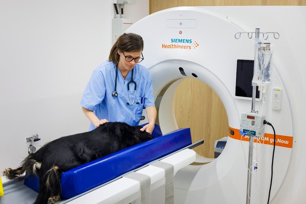 Veterinärhuset Öresund