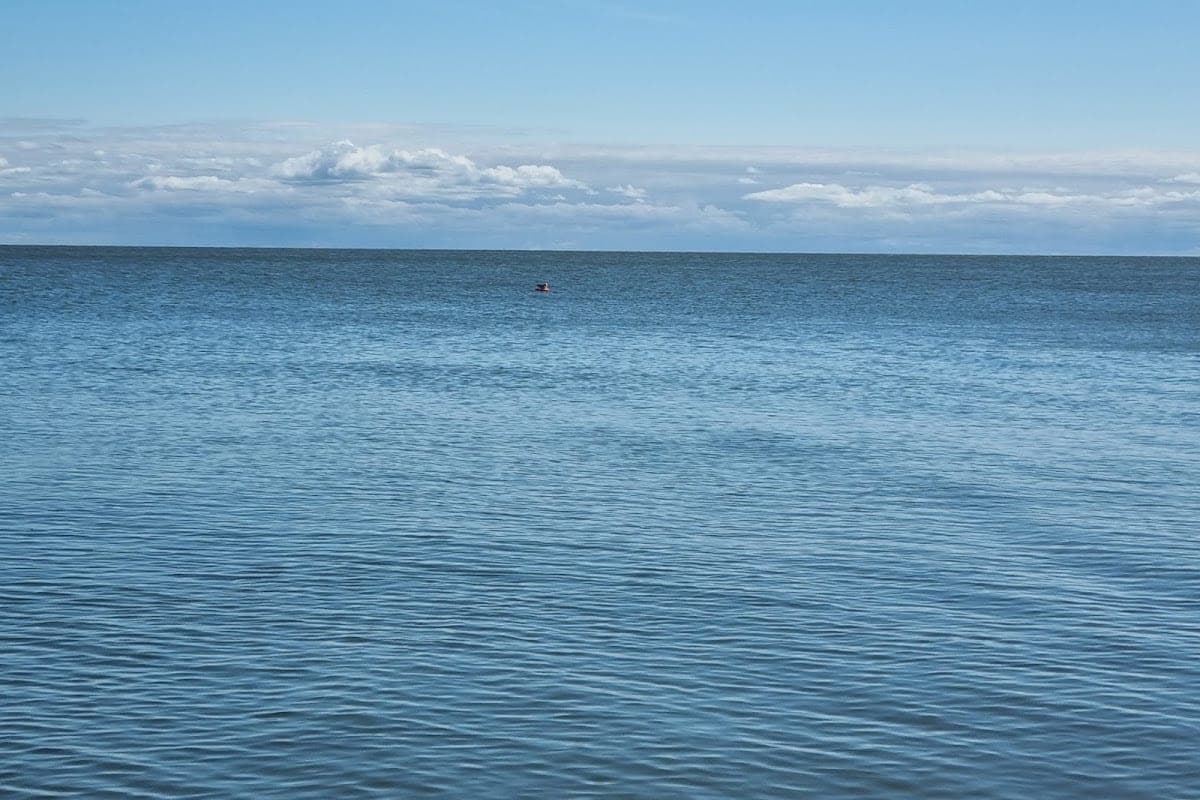 Preila lagoon shore