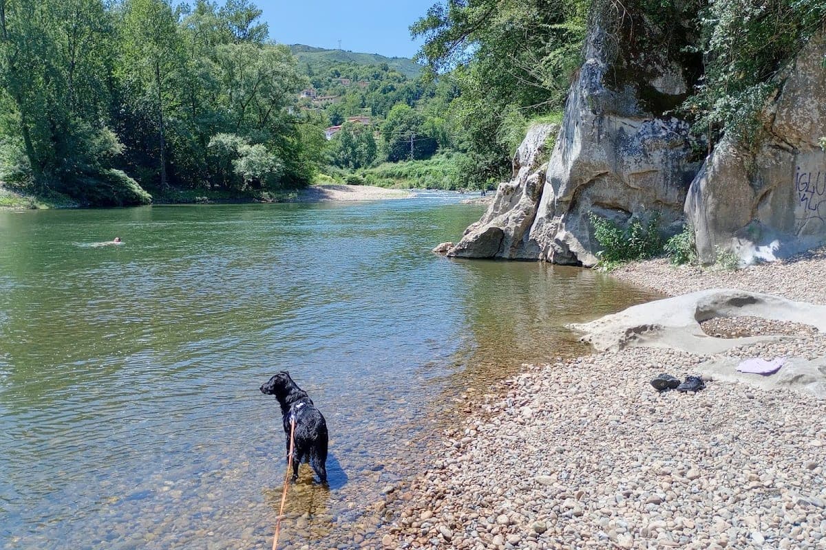 Clรญnica Veterinaria Vetusta