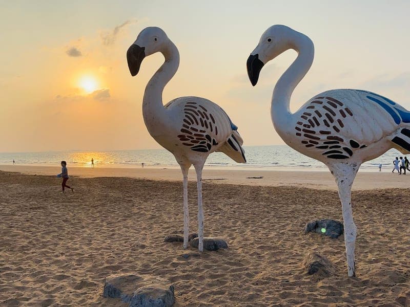 Flamingo Beach
