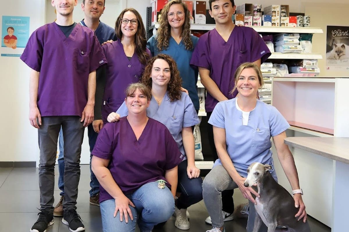 Cabinet Veterinaire de l'Erlon