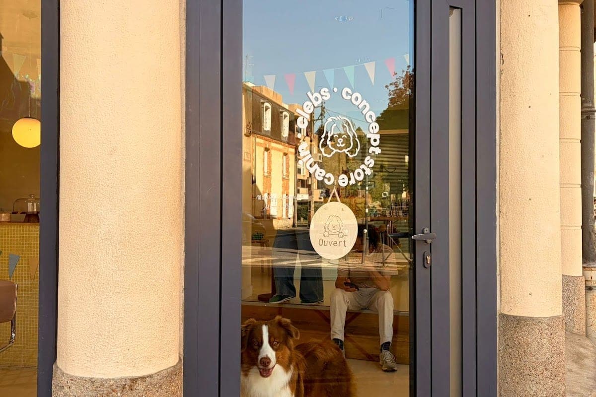 Rennes Pet Travel Tips