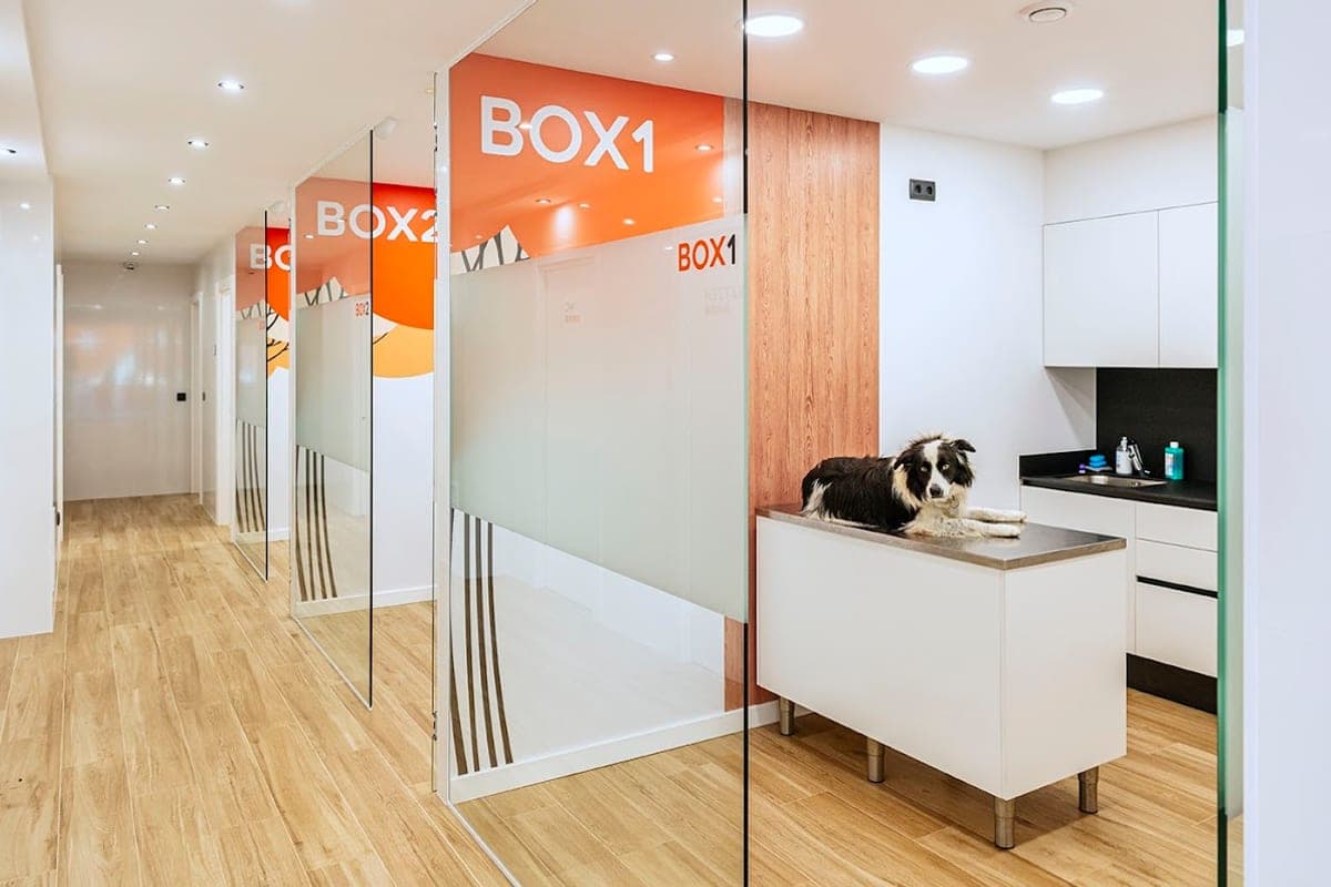 Centre Veterinari Can Vet (Lloret de Mar)