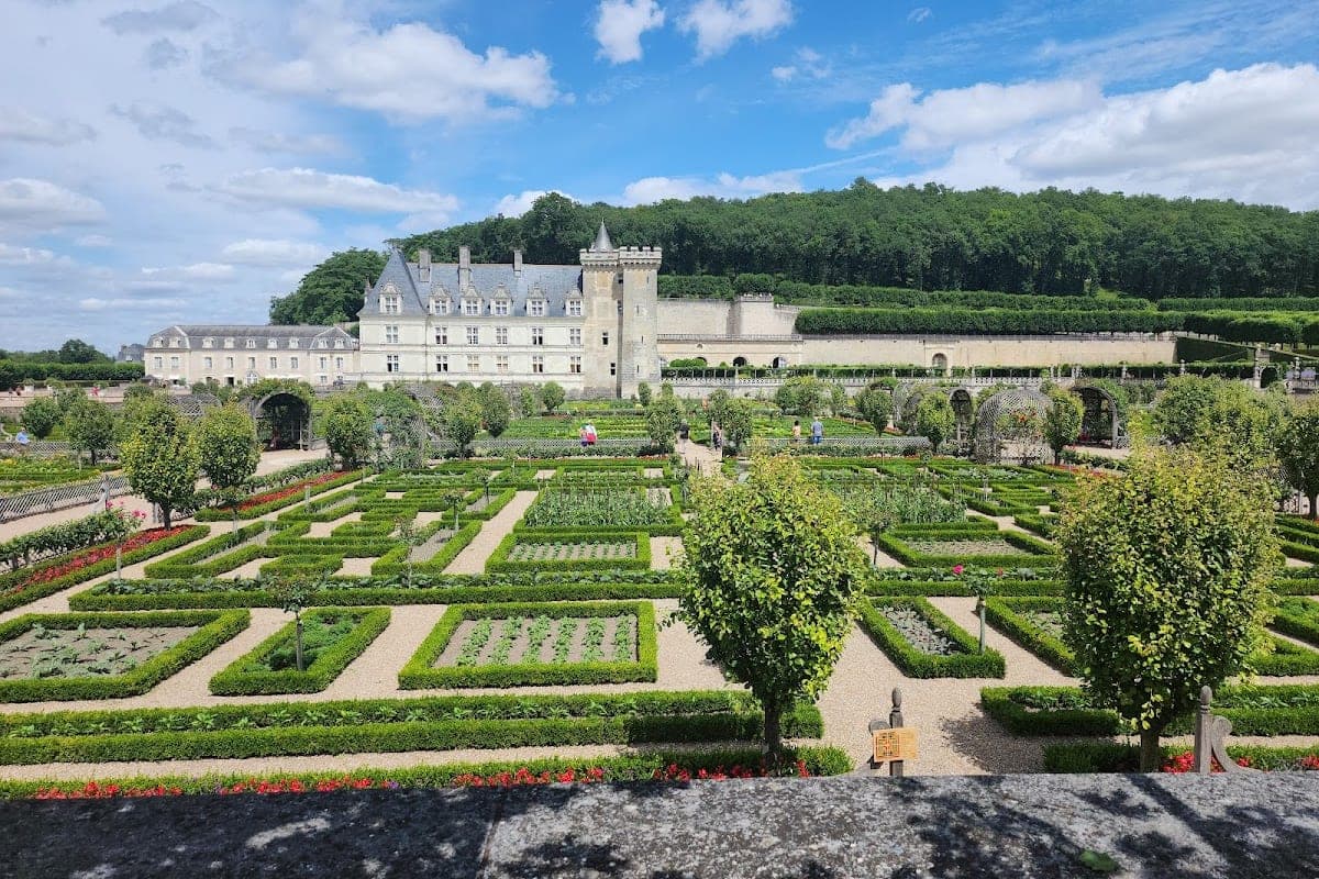 Loire Valley Chateaux Dog Policies