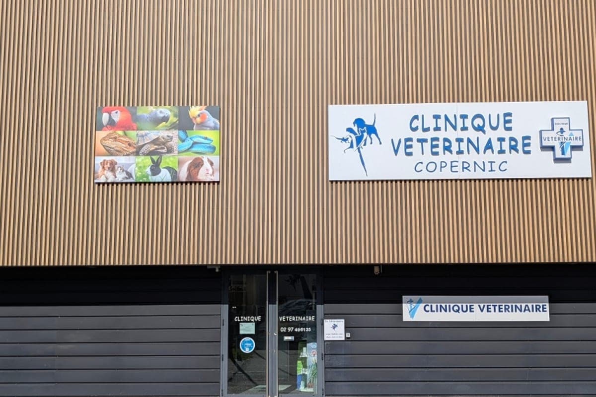 Clinique Vétérinaire Copernic
