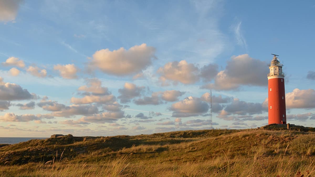 Texel