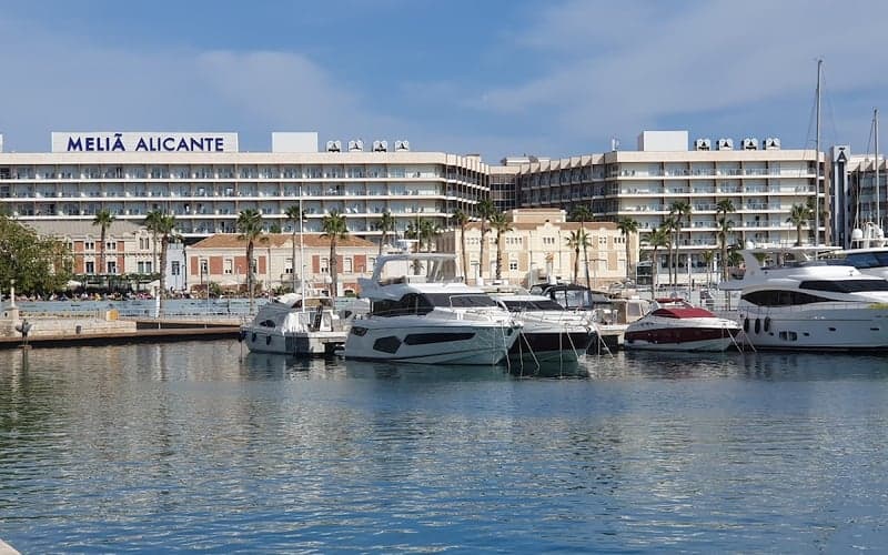 Meliá Alicante: Cat-friendly hotel in Alicante