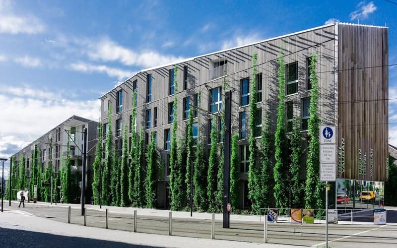 Green City Hotel Vauban: Cat-friendly hotel in Freiburg im Breisgau