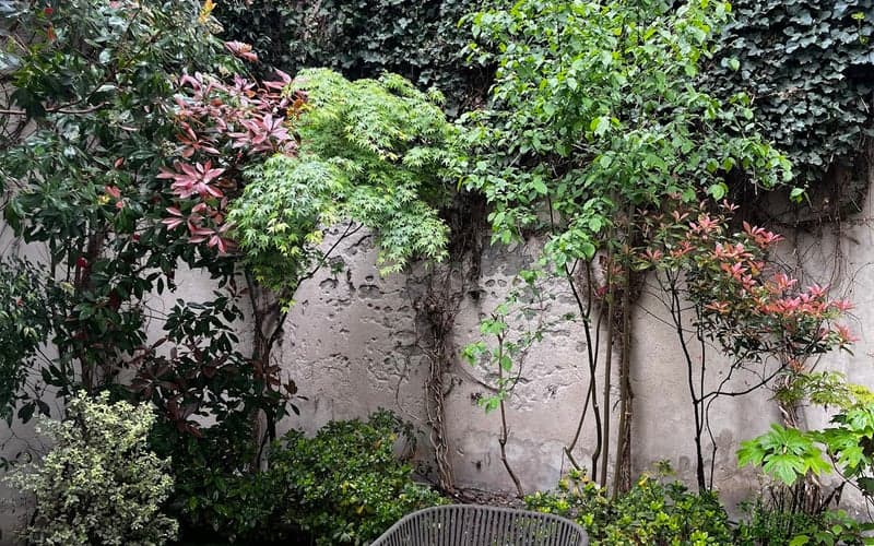 Hôtel La Monnaie Art & Spa: Se admiten gatos hotel in La Rochelle