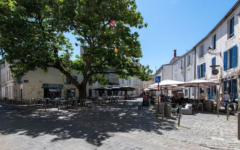 Le Saint-Nicolas Hôtel: Se admiten gatos hotel in La Rochelle