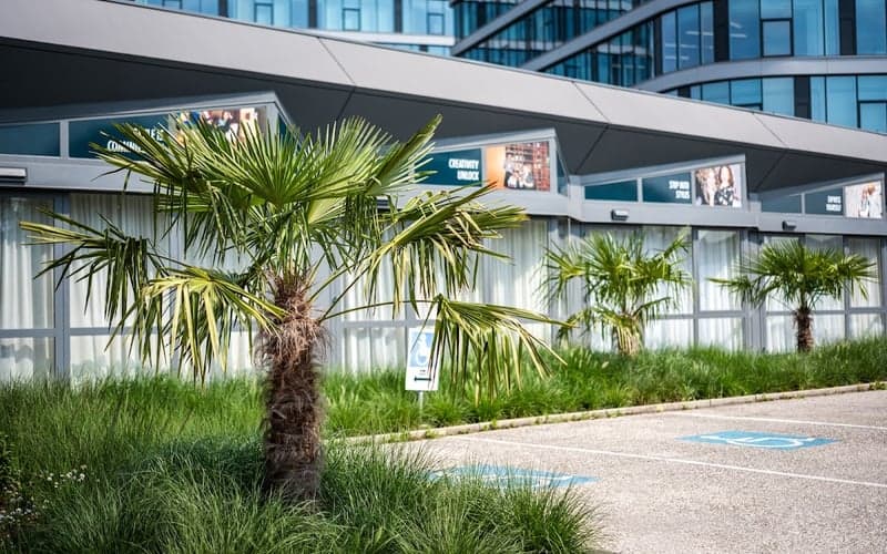 Ibis Styles Linz: Cat-friendly hotel in Linz