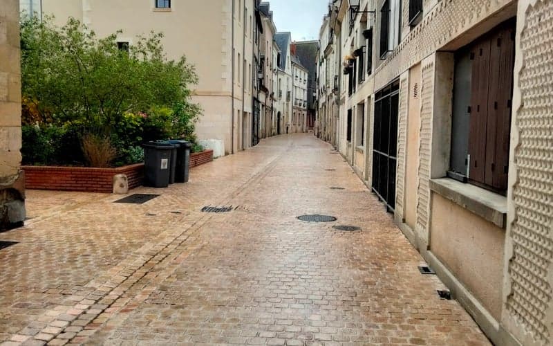 Mercure Tours Centre Gare et Congrès: Dog-friendly hotel in Tours