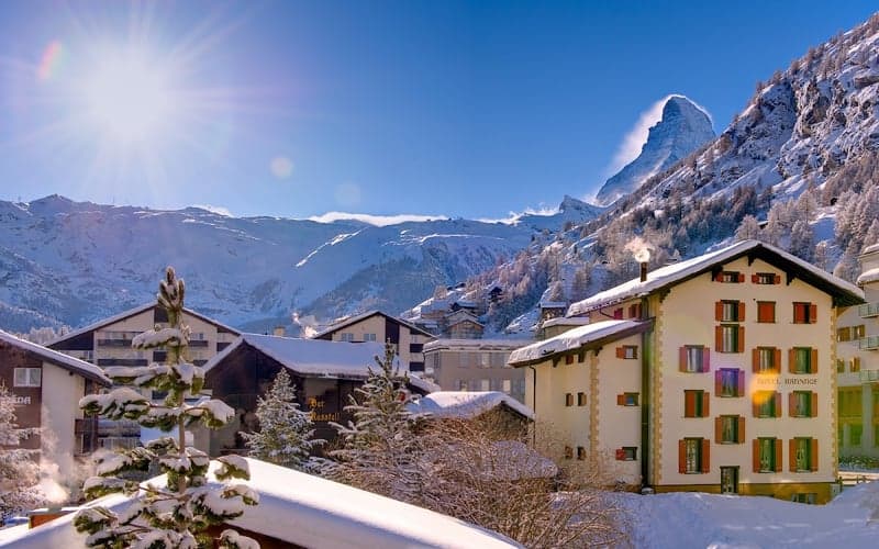 Hotel Bahnhof: Cat-friendly hotel in Zermatt